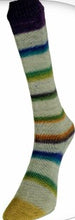 Load image into Gallery viewer, Laines du Nord ~ Art Sock