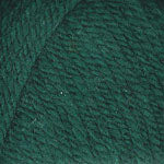 Load image into Gallery viewer, Encore Chunky ~ Plymouth Yarn Company