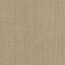 Load image into Gallery viewer, Perfect Pumpkin