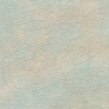 Load image into Gallery viewer, Mr. & Mrs. Margaritaville