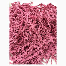 Load image into Gallery viewer, Bloom Wildly Chartpak ~ 2024 Nashville Market