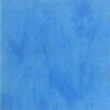 Load image into Gallery viewer, Be a Blue Bonnet