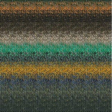 Load image into Gallery viewer, Noro Silk Garden Sock Solo Yarn ~ #S449 Kingstone