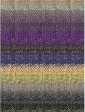 Load image into Gallery viewer, Noro Silk Garden Sock Solo Yarn ~ #S452 Loredo