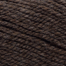 Load image into Gallery viewer, Encore Chunky ~ Plymouth Yarn Company