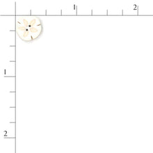 Charger l'image dans la galerie, Relaxing at the Beach