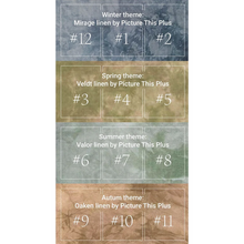 Charger l'image dans la galerie, A Year in the Woods ~ The Raccoon #4