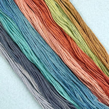 Load image into Gallery viewer, A Banner Year #2 - Snow Much Fun