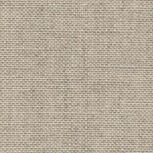 Load image into Gallery viewer, Woolemina