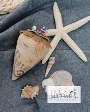 Charger l'image dans la galerie, Boardwalk Revue ~ Berry and the Pocket (Chart only)