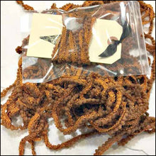 Charger l'image dans la galerie, Owls in the Round