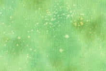 Load image into Gallery viewer, EEK!