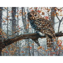 Load image into Gallery viewer, Wise Owl
