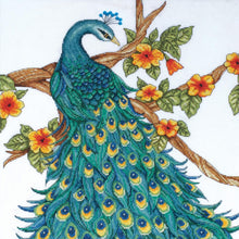 Load image into Gallery viewer, Peacock Kit
