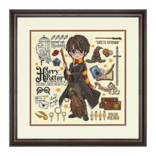 Load image into Gallery viewer, Harry Potter Kit
