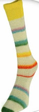 Load image into Gallery viewer, Laines du Nord ~ Art Sock
