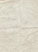 Load image into Gallery viewer, Ann Hanson  ~ 2024 Needlework Market
