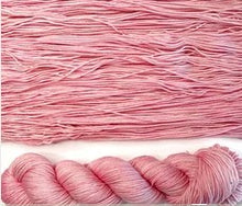 Load image into Gallery viewer, Dream in Color - Smooshy Superwash
