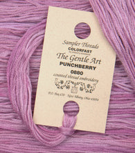 Charger l'image dans la galerie, A Year of Celebrations
