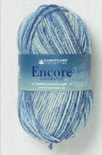 Load image into Gallery viewer, Encore Colorspun Yarn ~ #7991 Demin Spray

