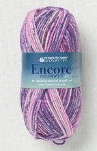 Load image into Gallery viewer, Encore Colorspun Yarn ~ #7202 Magenta Spray
