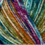 Load image into Gallery viewer, Encore Colorspun Yarn ~ #7203 Spectrum Spray
