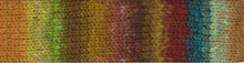 Load image into Gallery viewer, Noro Kureyon Yarn
