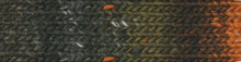 Load image into Gallery viewer, Noro Kureyon Yarn
