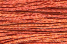 Charger l'image dans la galerie, A Year of Celebrations
