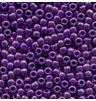 02101 ~ Purple