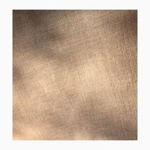 Load image into Gallery viewer, Pumpkin Seed
