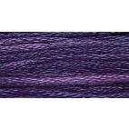 Purple Iris - 0810