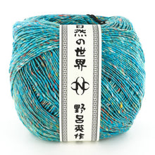 Load image into Gallery viewer, Noro Kakigori Yarn ~ #09 Totori
