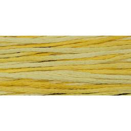 Sally's Sunshine - 2218