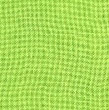 Load image into Gallery viewer, Woneta Witchypoo's Big Sis
