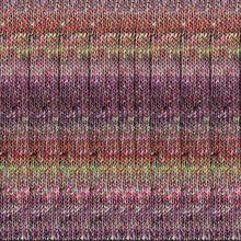 Load image into Gallery viewer, Noro Uchiwa Yarn ~ #06 Marugame
