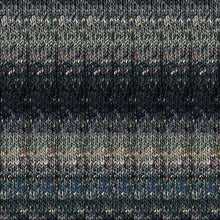 Load image into Gallery viewer, Noro Uchiwa Yarn ~ #09 Matsumoto
