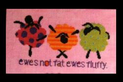 Ewes Fluffy