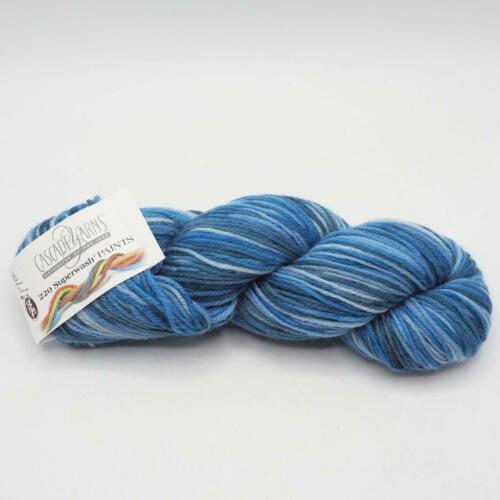 220 Superwash Paints ~ Blue Marble #9880