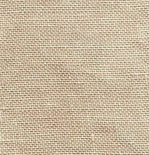 Load image into Gallery viewer, White Winter Moth
